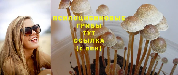 каннабис Дмитров
