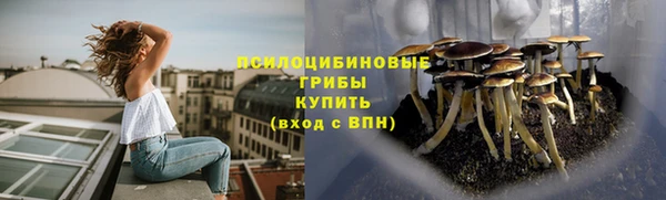 МДМА Дмитриев
