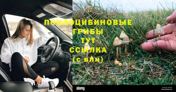 мдпв Дмитровск