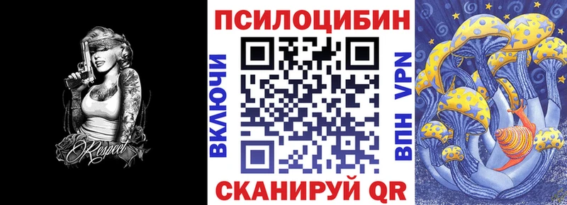 Псилоцибиновые грибы Psilocybe  Купить закладки  Удомля 